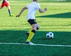 太阳遭遇重,大挑战,谁能打破骑,2026世界杯,世界杯赛程,参赛球队,比赛亮点,体育动态