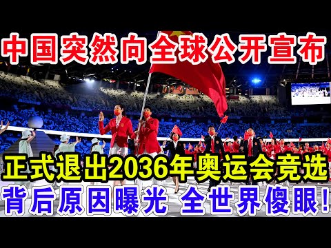 布莱顿门将,费布鲁亨点,球战连败两,2026世界杯,世界杯赛程,参赛球队,比赛亮点,体育动态