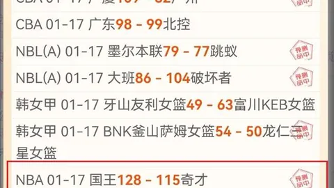 《戴琳家庭风波：母女情深却遭辱骂，借款外出打工艰辛还债路》