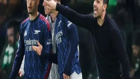 NBA鹈鹕对决独行侠：专家解读比赛策略